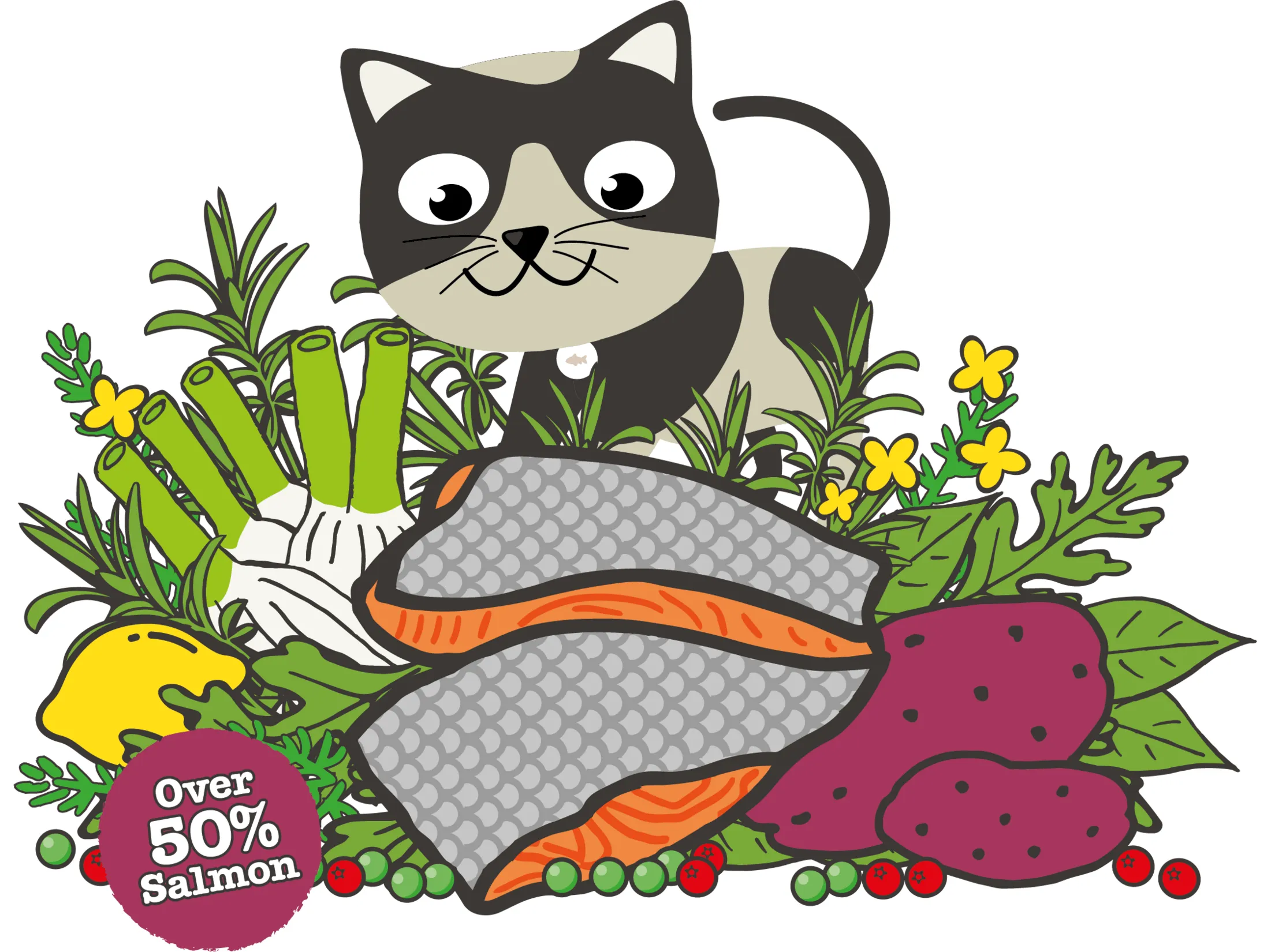 Atlantic Salmon Complete dry food for Adult Cats 350gm /Little BigPaw