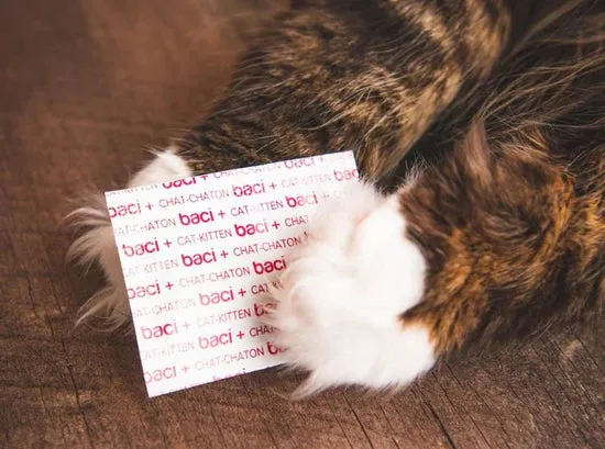 Baci Probio  Cat Bonus Bag - 28g