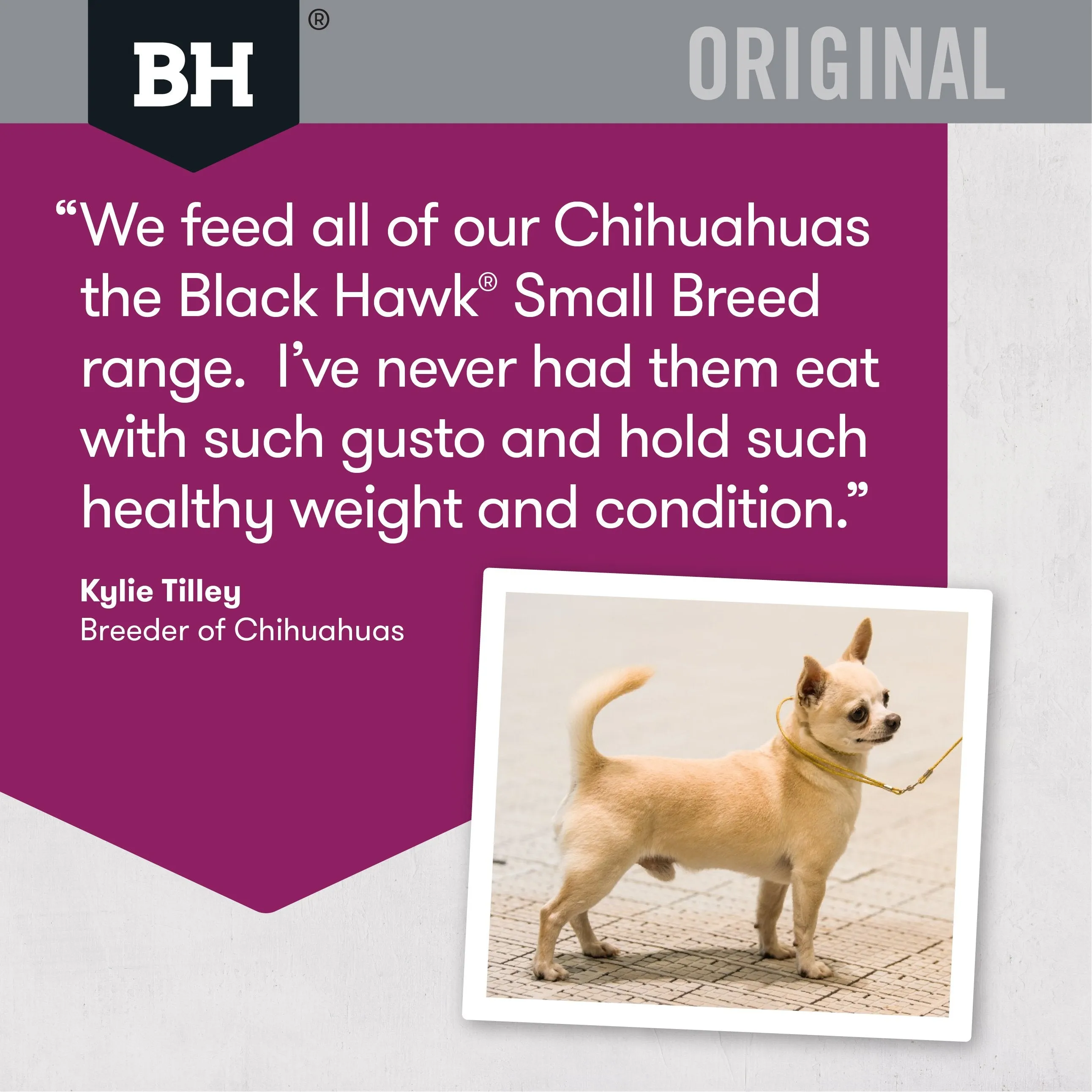 Black Hawk Original Lamb and Rice Small Breed Dry Dog Food 10kg