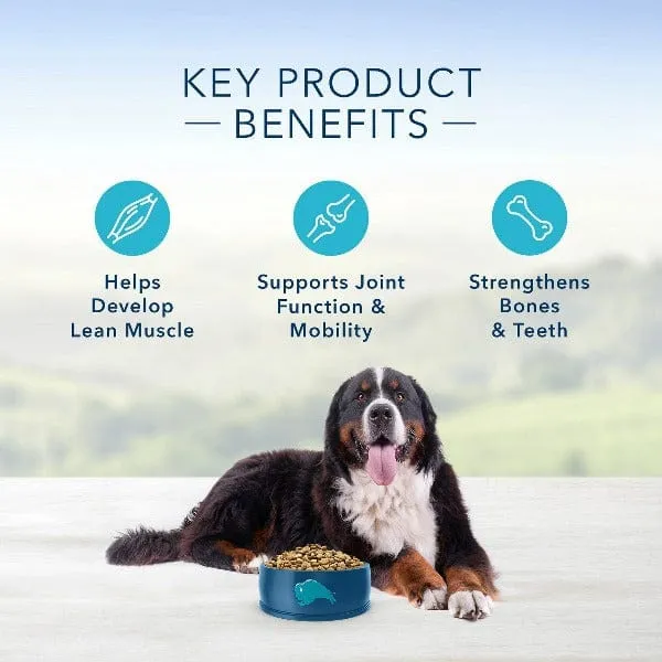 BLUE Life Protection Formula Large Breed Beef & Brown Rice Recipe Dry Dog Food, 26lb