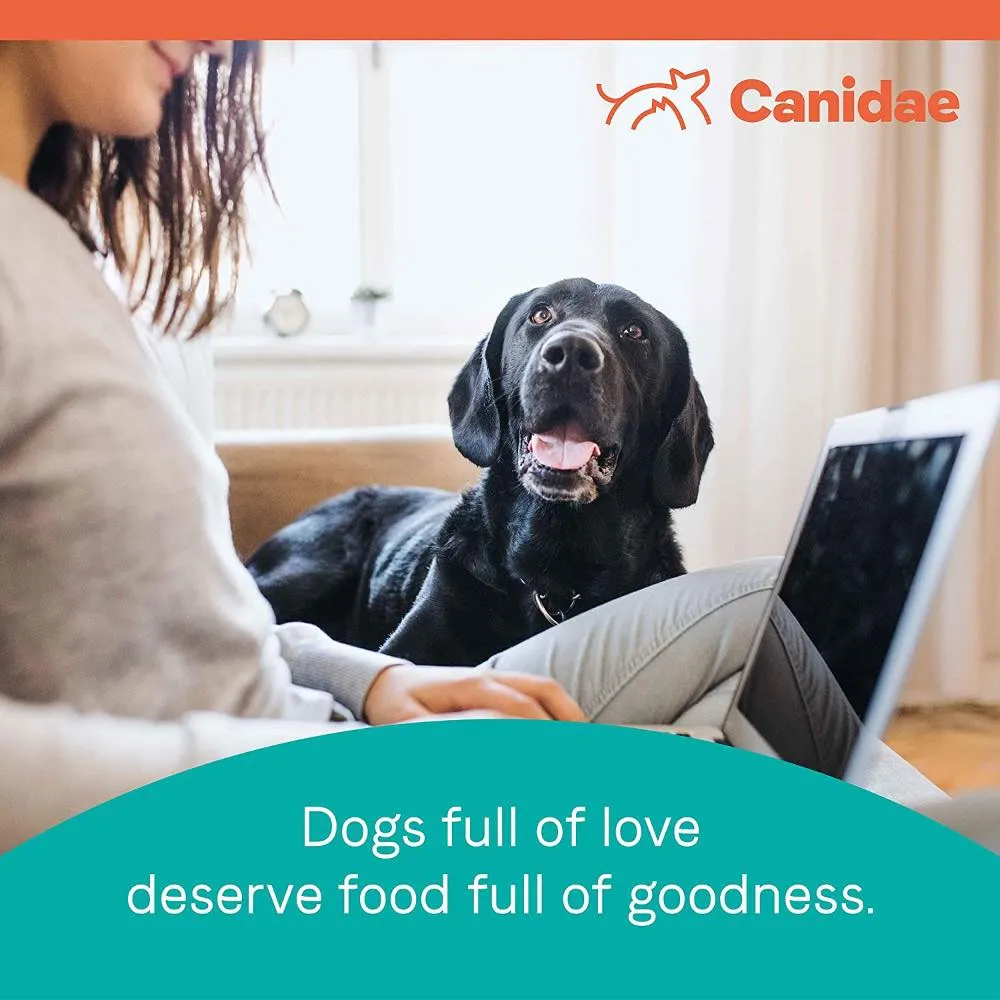 Canidae Grain-Free Pure Real Salmon & Sweet Potato Recipe Dry Dog Food