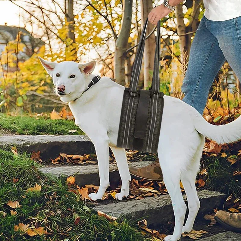 Dog Lift Harness for Hind Leg Support Soft Pet Sling