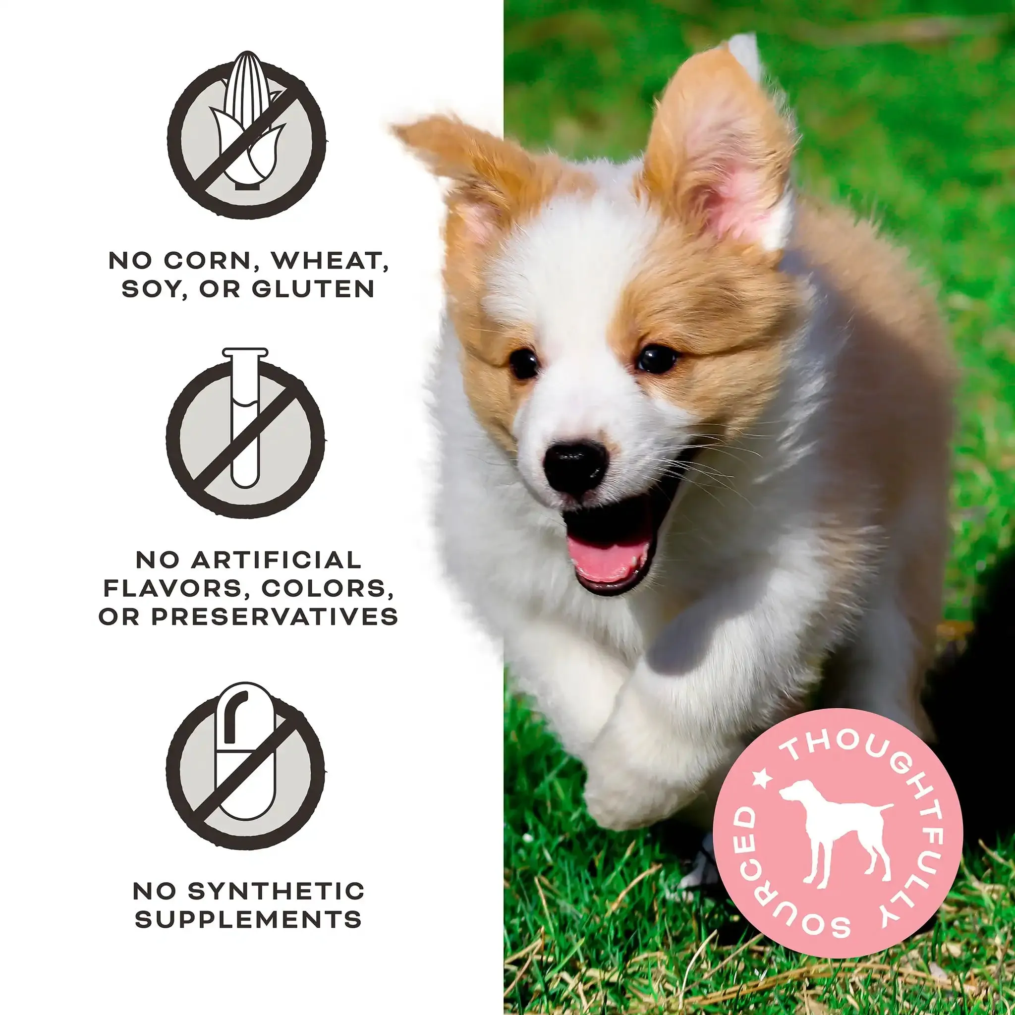 Freeze-Dried Raw Dog Treats <br> You're My Butter Half