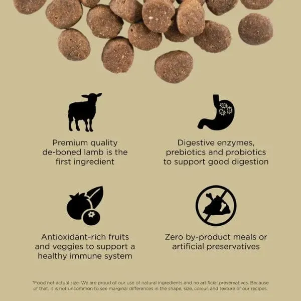 Go! Solutions Carnivore Grain-Free Lamb & Wild Boar Recipe Dry Dog Food
