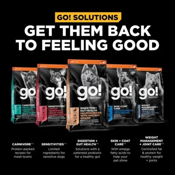 Go! Solutions Digestion   Gut Health, Salmon Recipe with Ancient Grains Dry Dog Food