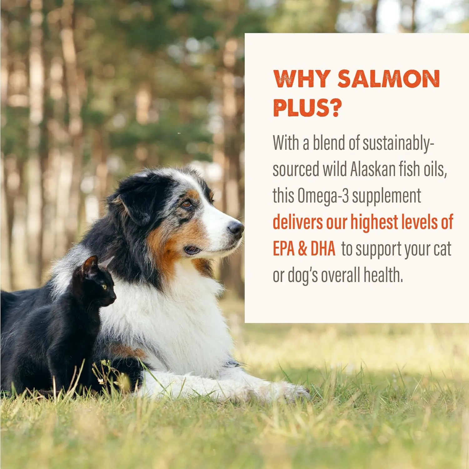 Grizzly Salmon Oil Omega Plus Supplement For Dogs
