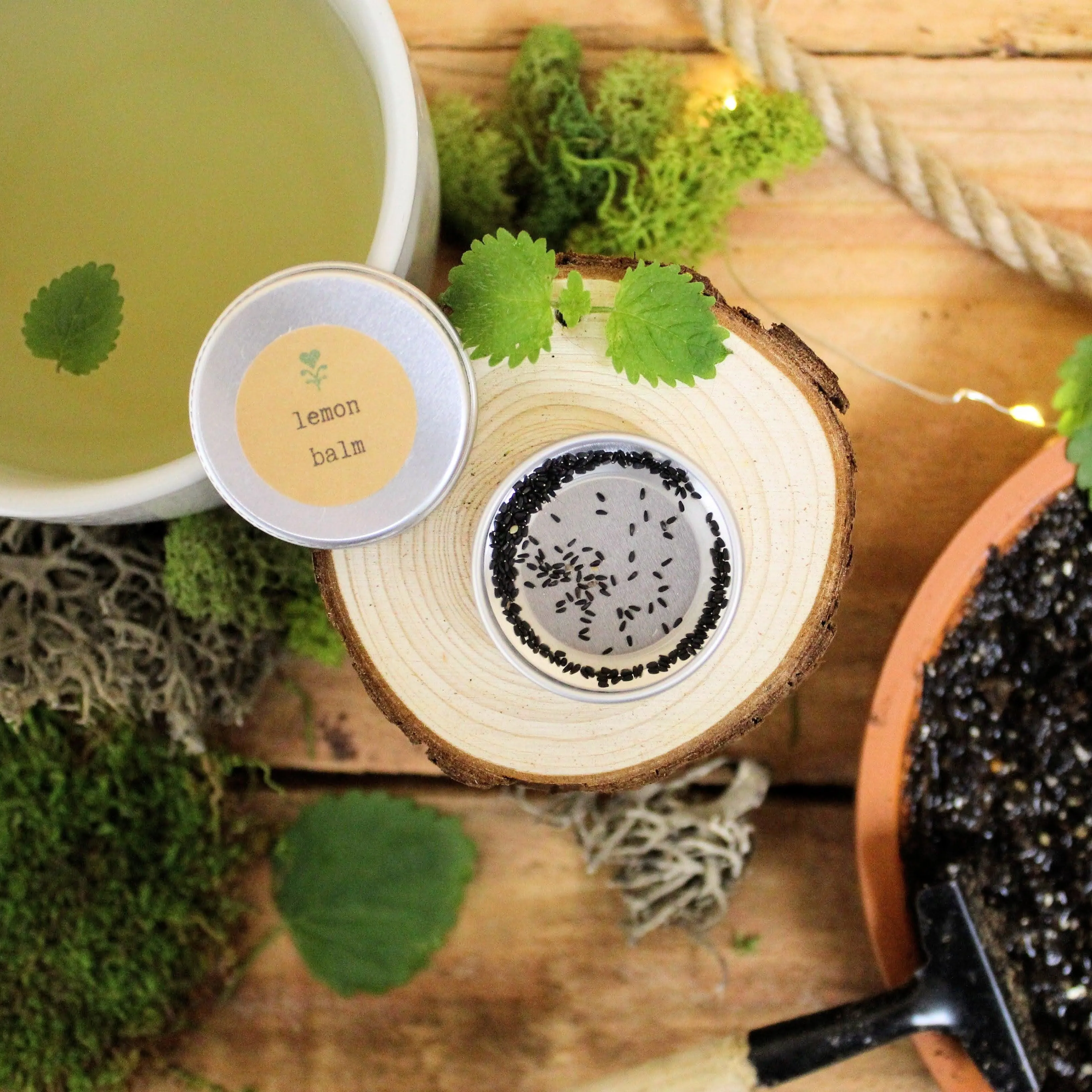 Herbal Tea Seeds Collection