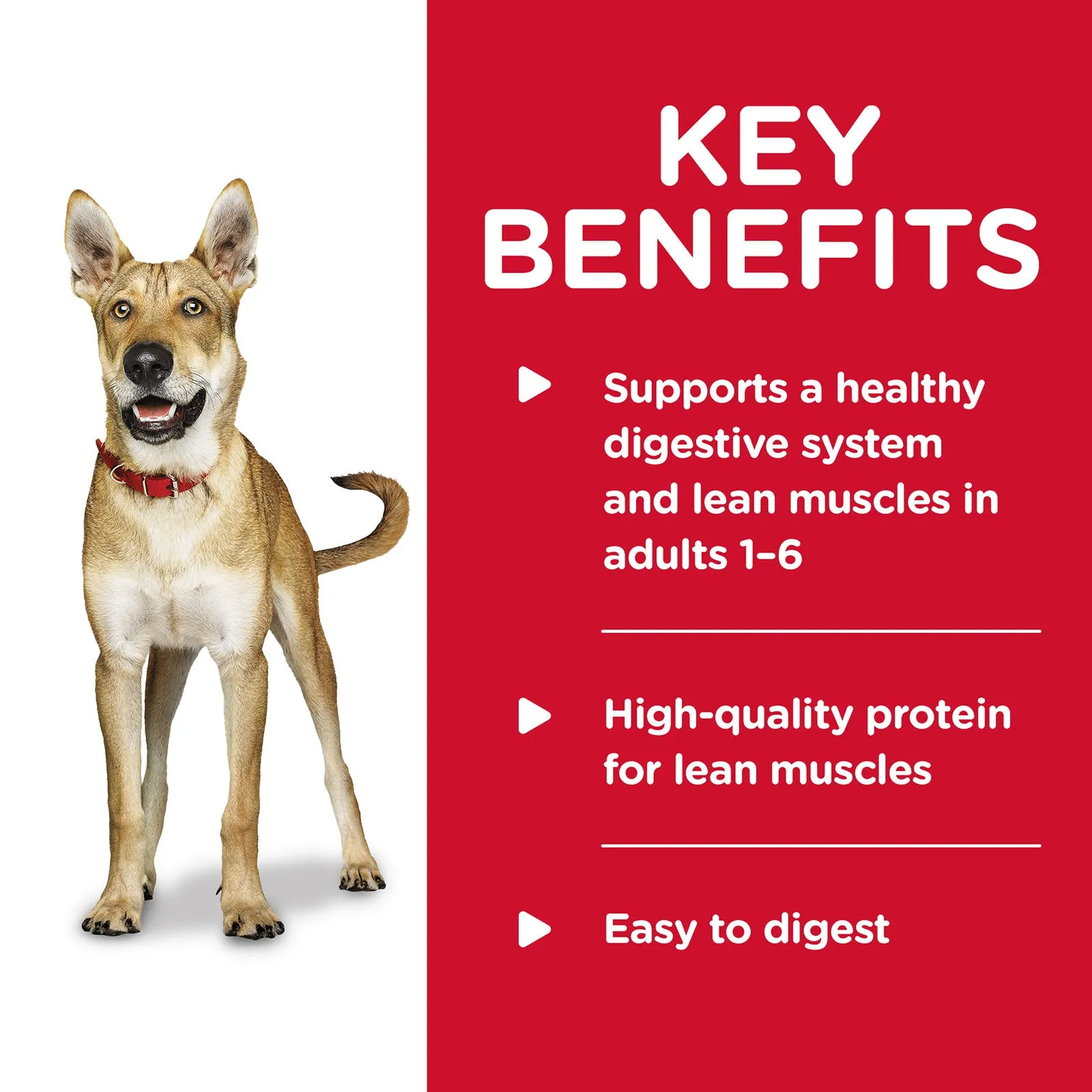 Hill's Science Diet Dog Food Can Adult Savoury Stew Beef & Vegetables