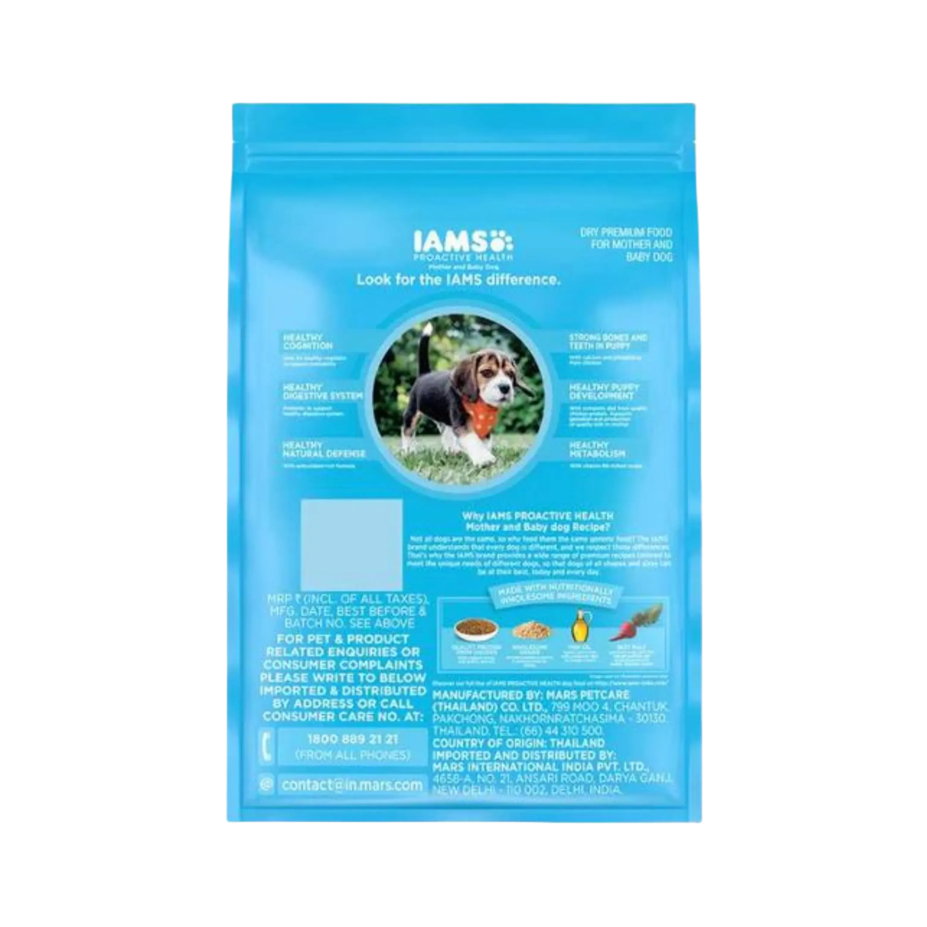 IAMS MOTHER & BABY DOG DRY GOOD (M)