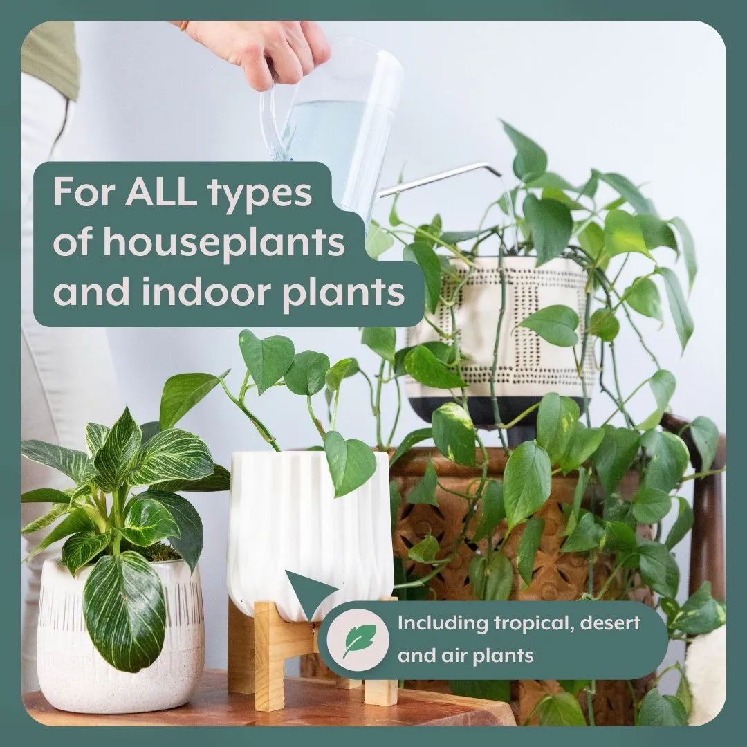 Instant Plant Food Houseplant GROW Bundle