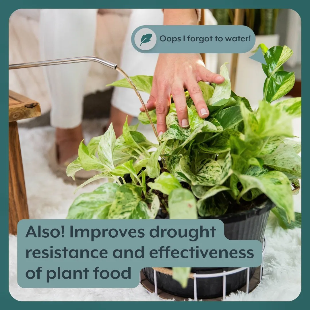 Instant Plant Food Houseplant GROW Bundle