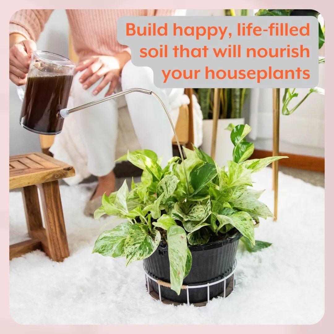 Instant Plant Food Houseplant GROW Bundle