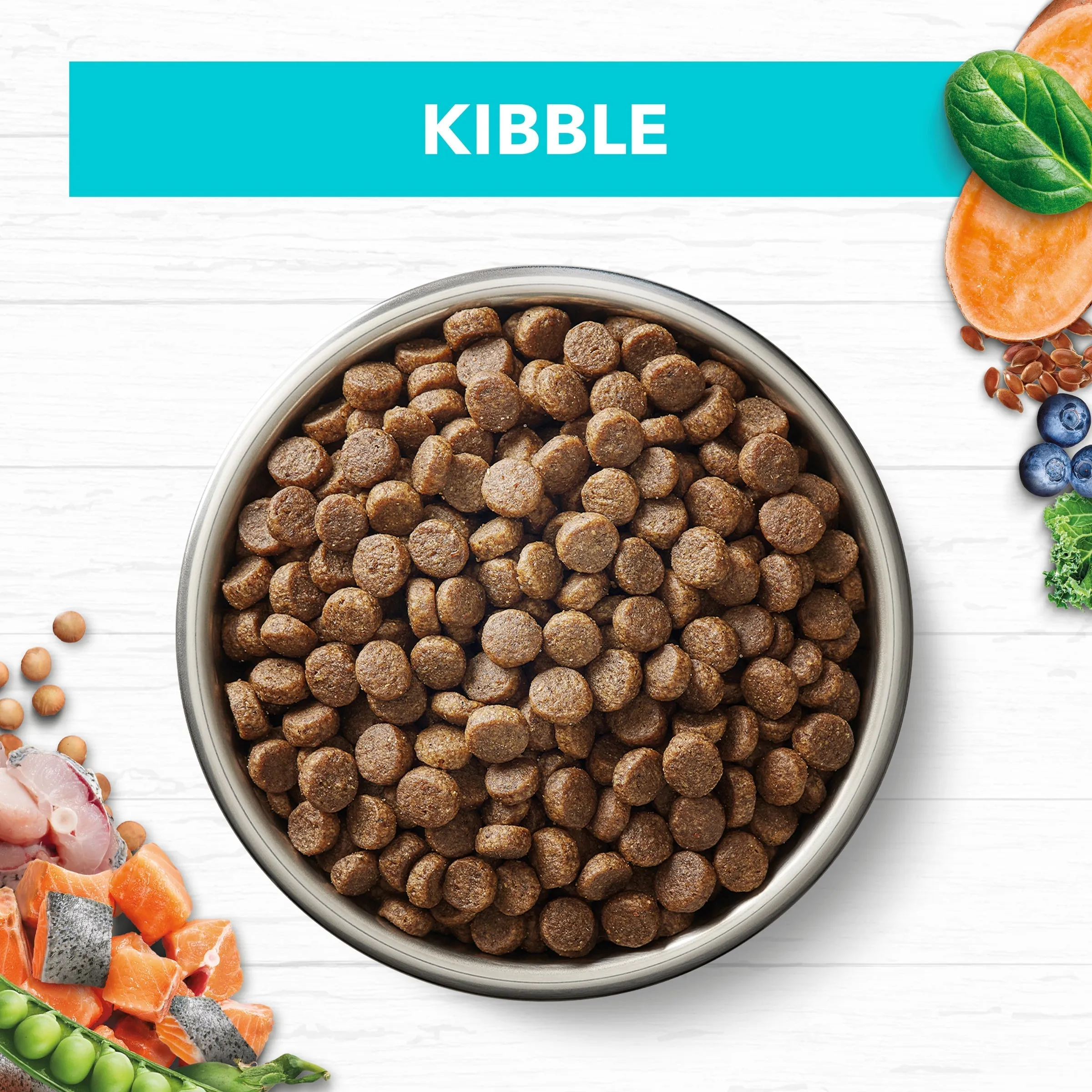 Ivory Coat Grain Free Ocean Fish Kitten Dry Food 2kg^^^
