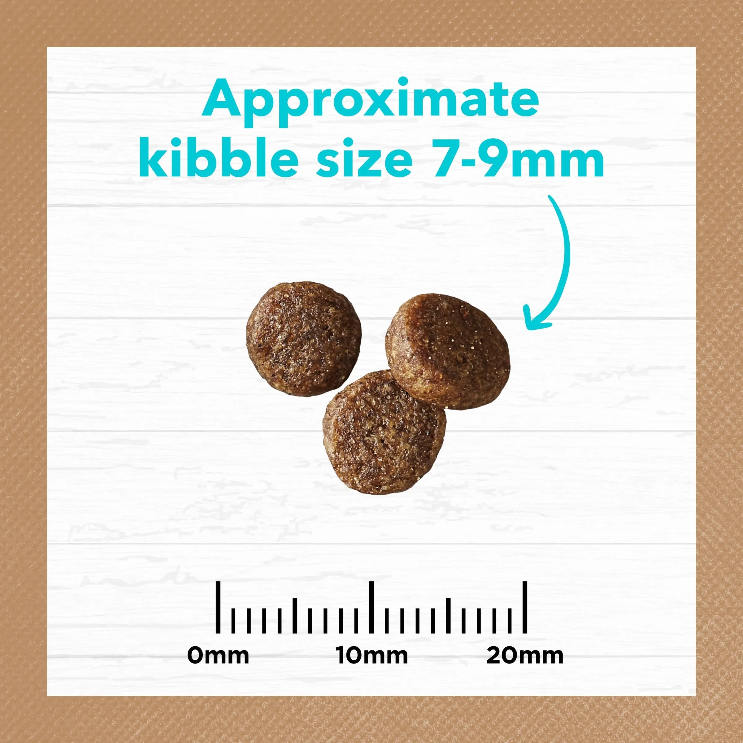 Ivory Coat Grain Free Ocean Fish Kitten Dry Food 2kg^^^