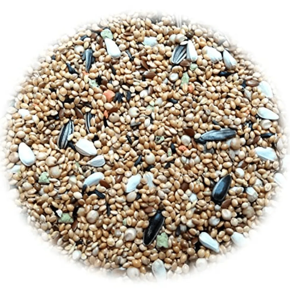 JiMMy Panchee Pick Love Bird Food