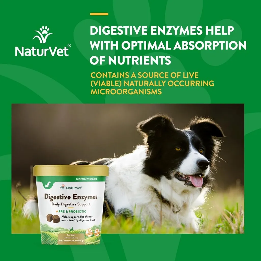 NaturVet Digestive Enzymes Soft Chews Daily Digestive Support with Pre & Probiotic for Dogs, 70 count