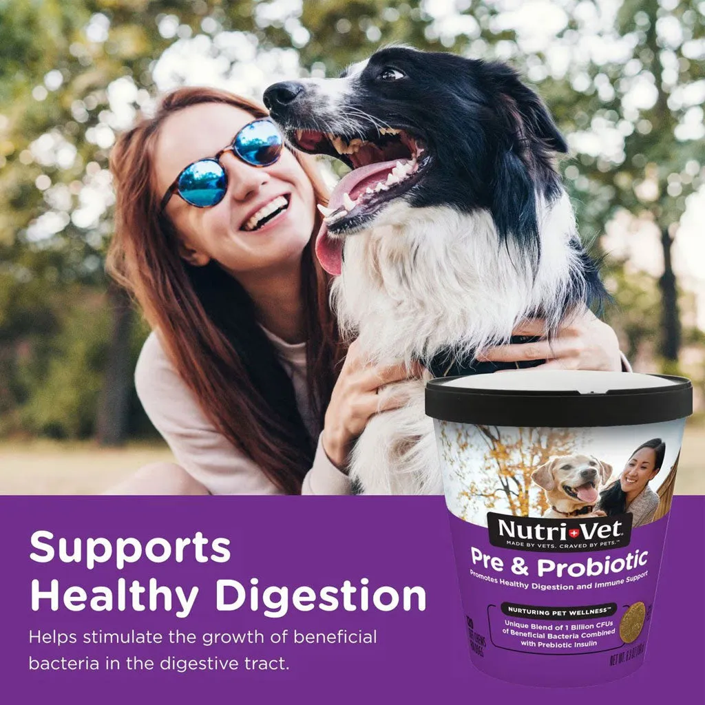 Nutri-Vet Pre & Probiotic Digestive Supplement for Dogs, 120 soft chews