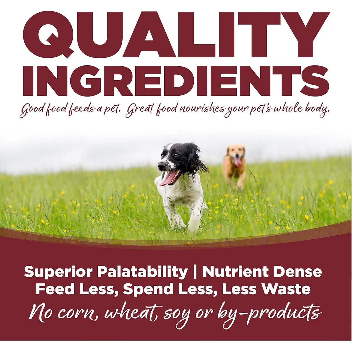 NutriSource Beef & Rice Healthy Dry Dog Food 12lb