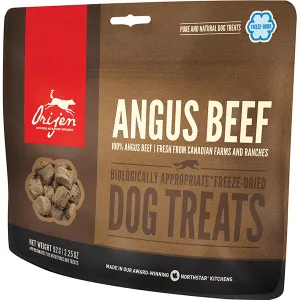 Orijen Freeze Dried Treats Angus Beef