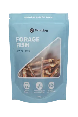 Pawtion Forage Fish