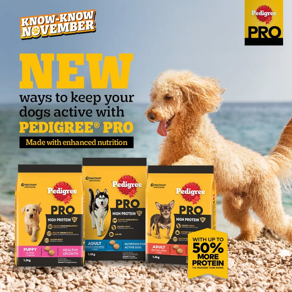 Pedigree Dry Dog Food 2.7kg All Breeds & Flavors for Adult/Puppy NutriDefense