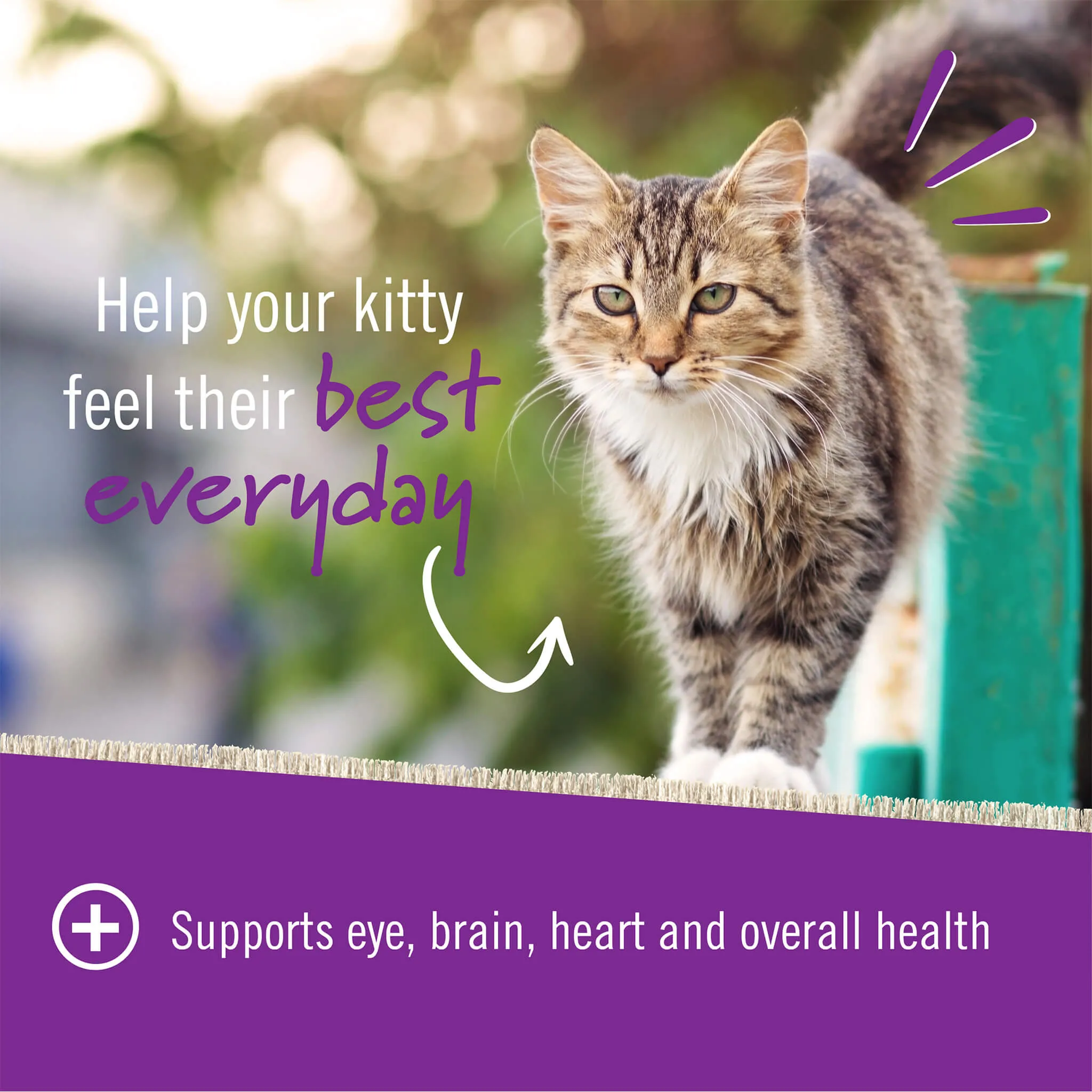 Pet Naturals Daily Multivitamin for Cats