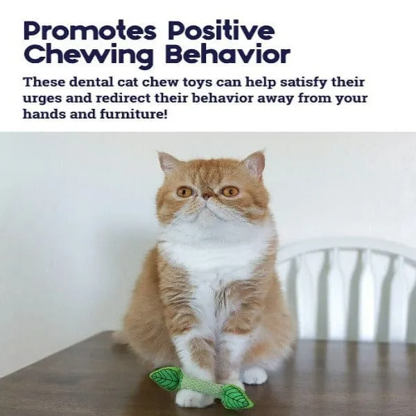 Petstages Fresh Breath Mint Stick Cat Toy