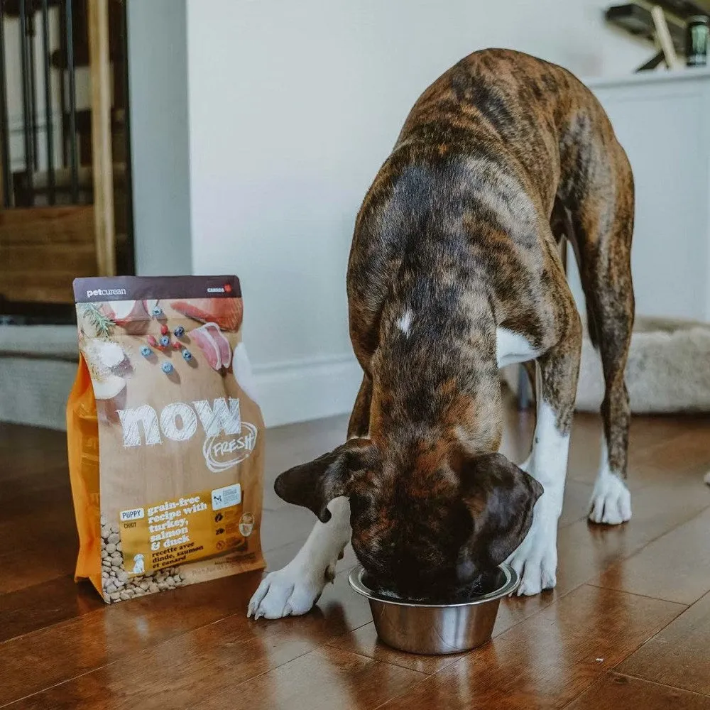 Puppy Grain Free Turkey Salmon & Duck Dog Dry Food