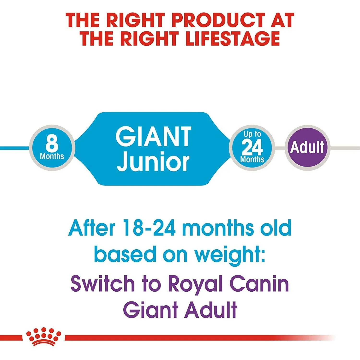 Royal Canin Dog Food Giant Breed Junior
