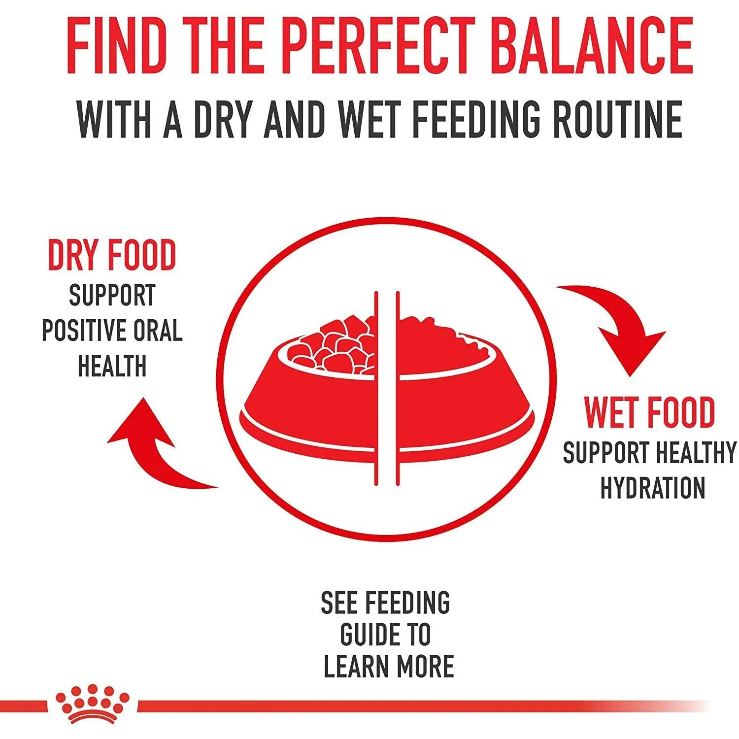 Royal Canin Dog Food Giant Breed Junior