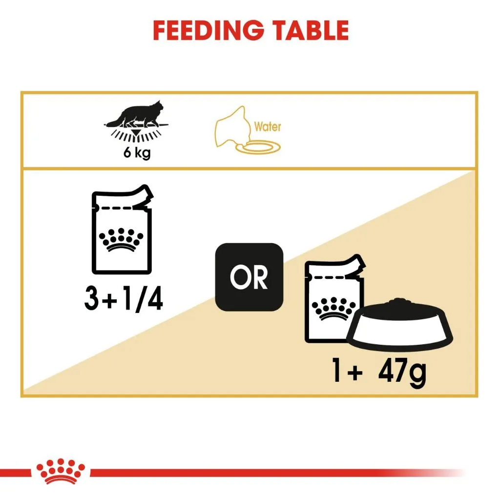 Royal Canin Maine Coon Adult (85g x 12 Pouches) Wet Cat Food - Feline Breed Nutrition