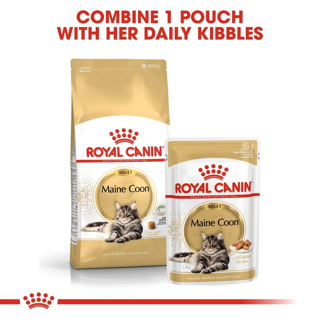 Royal Canin Maine Coon Adult (85g x 12 Pouches) Wet Cat Food - Feline Breed Nutrition