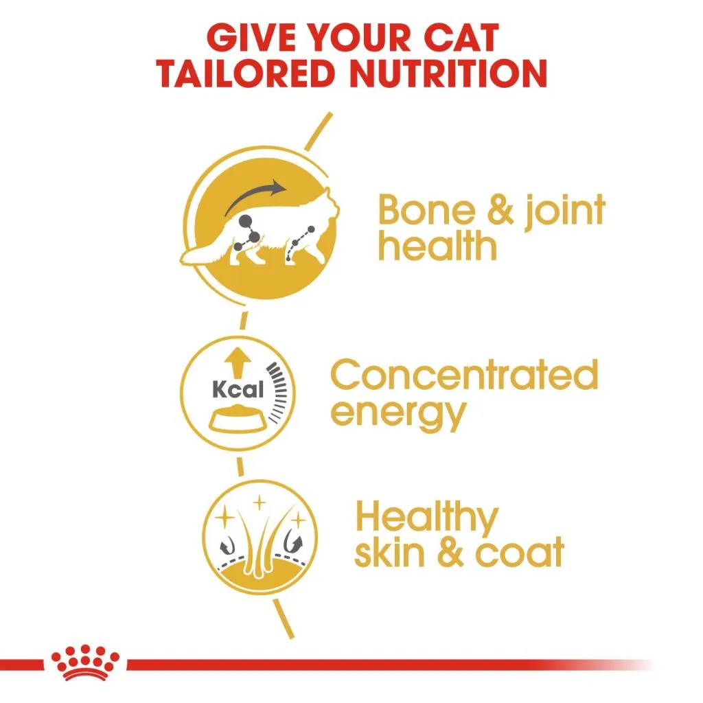 Royal Canin Maine Coon Adult (85g x 12 Pouches) Wet Cat Food - Feline Breed Nutrition