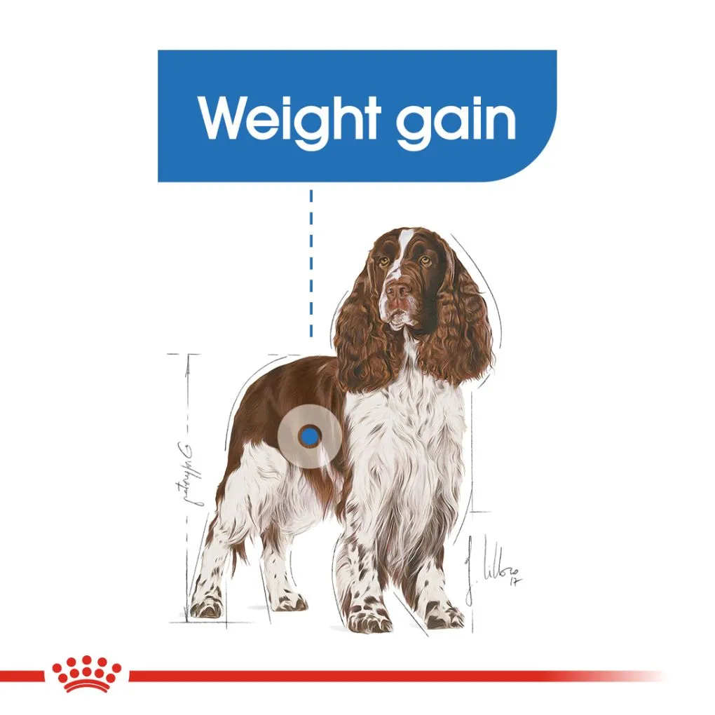 Royal Canin Medium Light Weight Care