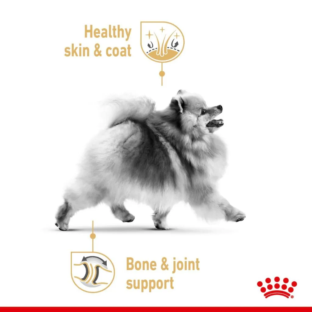 Royal Canin Pomeranian Adult (85g x 12 Pouches) Wet Dog Food - Breed Health Nutrition