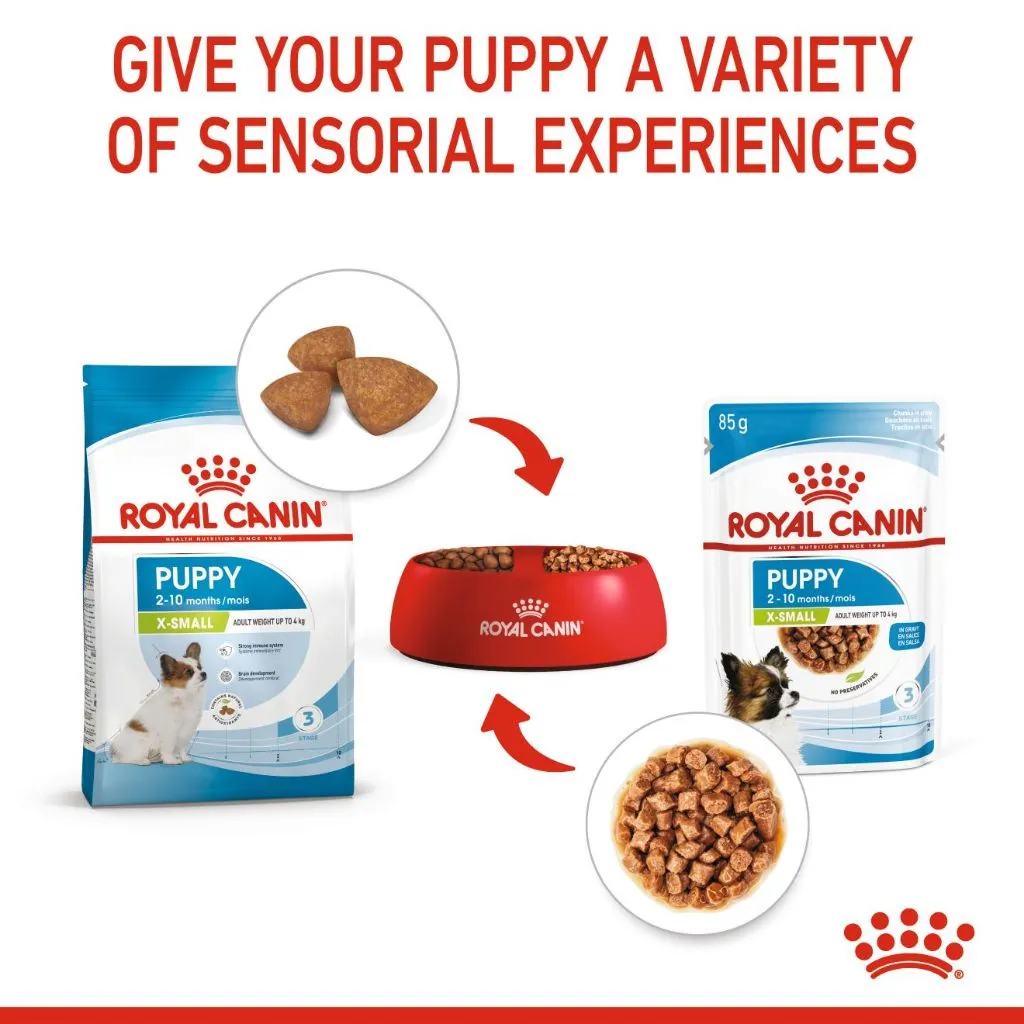 Royal Canin X-Small Puppy (85g x 12 Pouches) Wet Dog Food - Size Health Nutrition