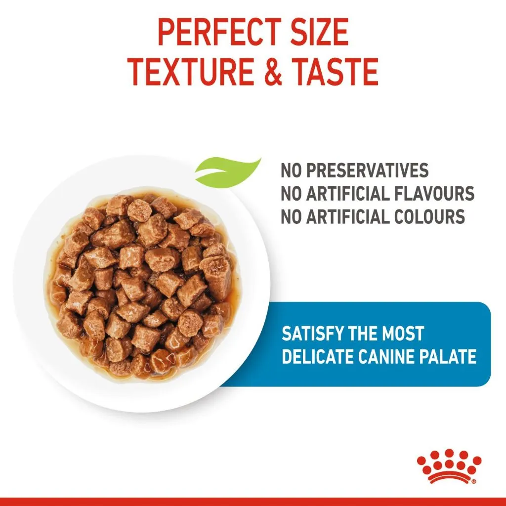 Royal Canin X-Small Puppy (85g x 12 Pouches) Wet Dog Food - Size Health Nutrition