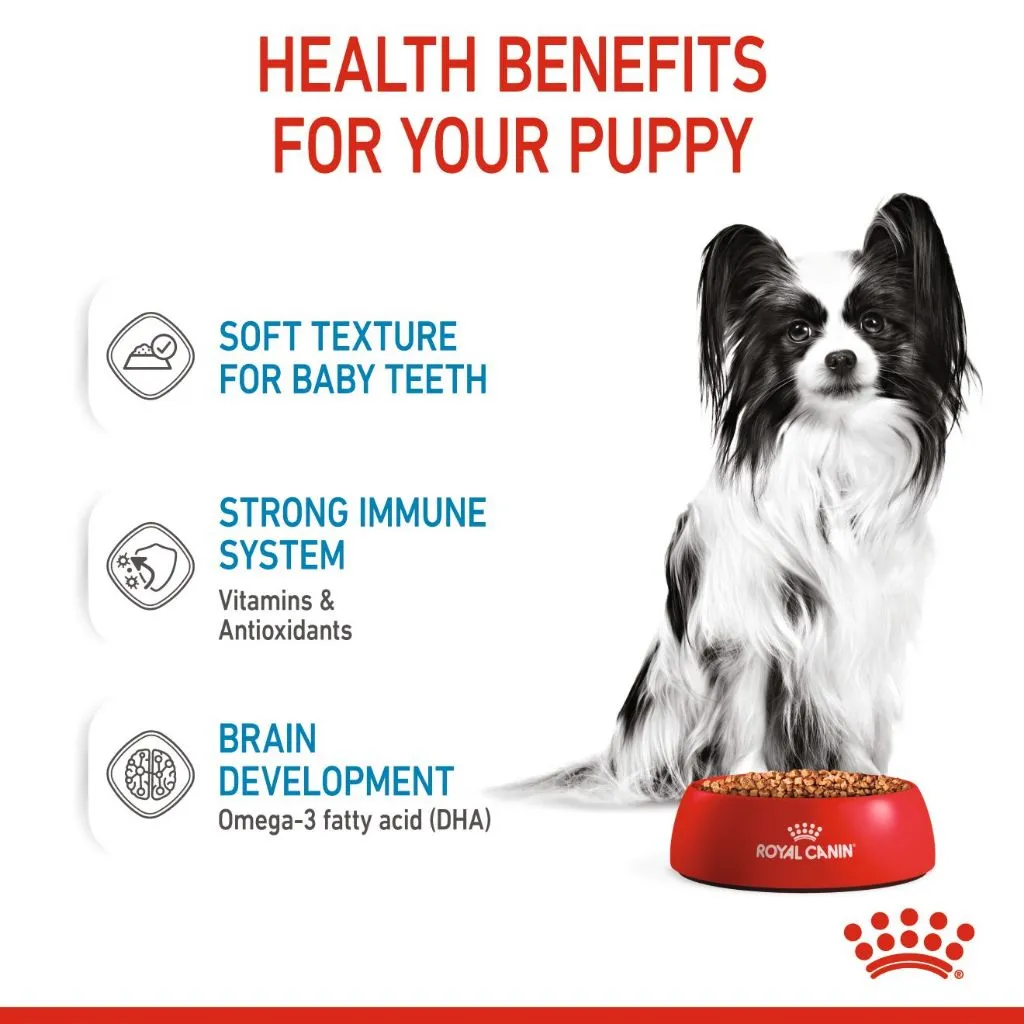 Royal Canin X-Small Puppy (85g x 12 Pouches) Wet Dog Food - Size Health Nutrition