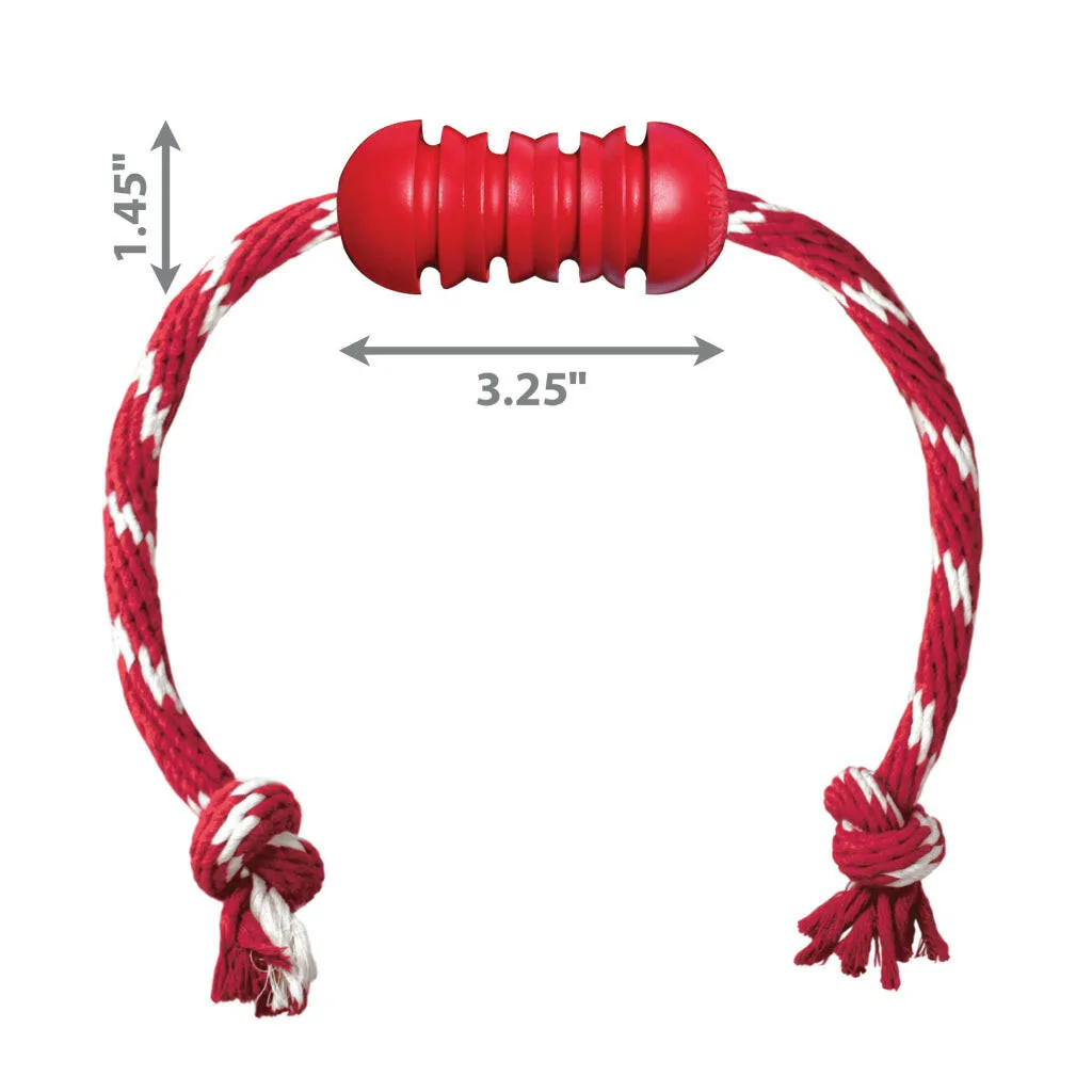 Shop KONG Dental w/Rope Teeth Cleaning Dog Chew Toy