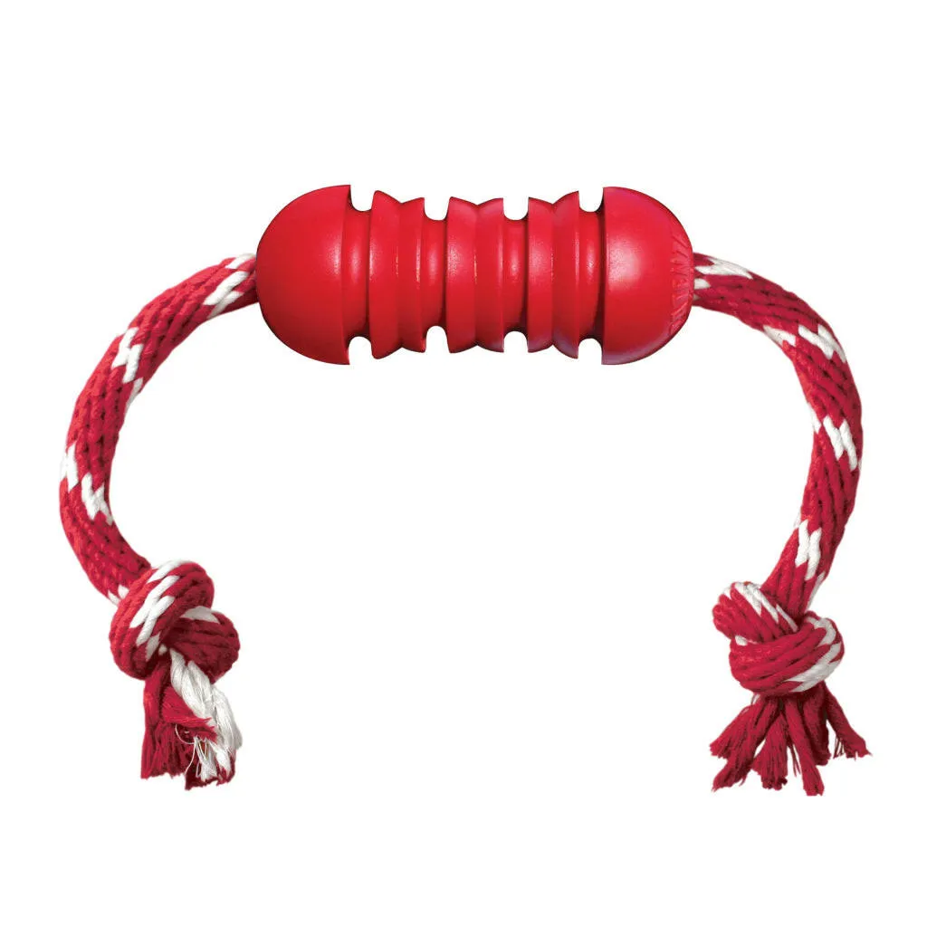 Shop KONG Dental w/Rope Teeth Cleaning Dog Chew Toy