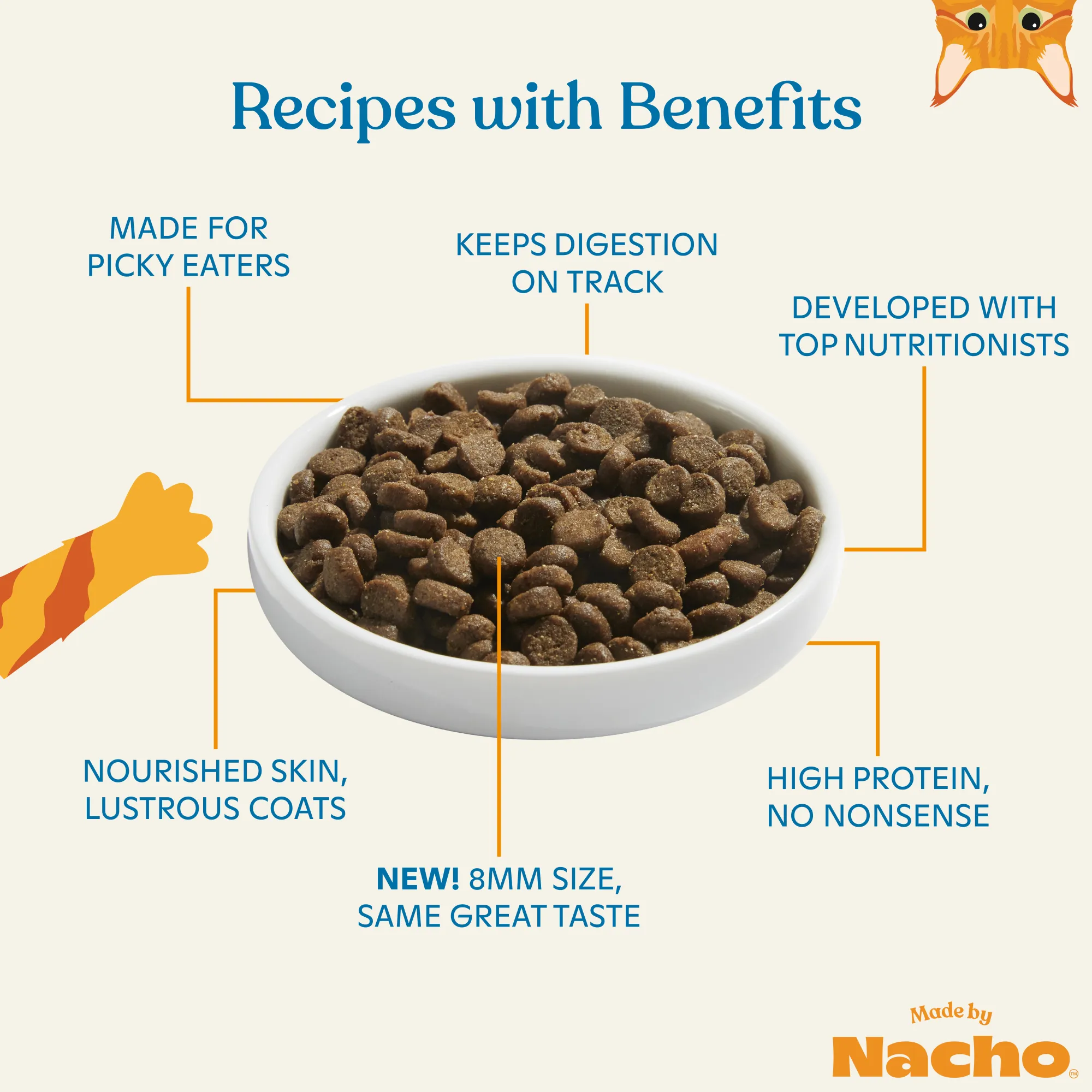 Skin & Coat Support Kibble