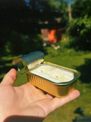Tinned Fish Candle in Citronella