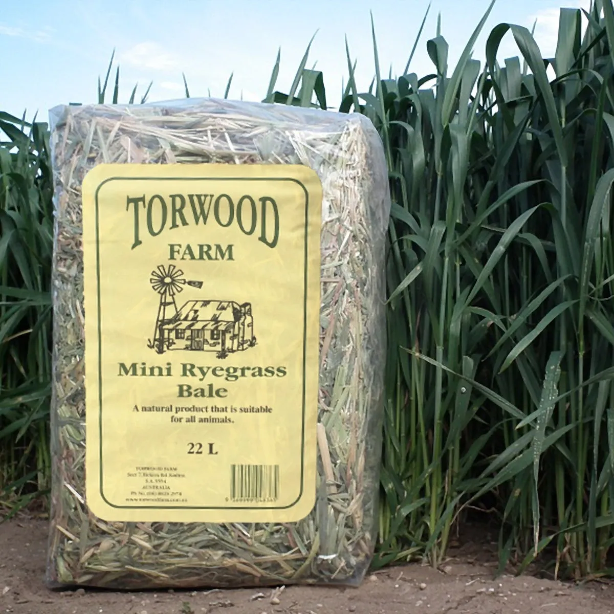 Torwood Farm Mini Rye Grass Bale 22L