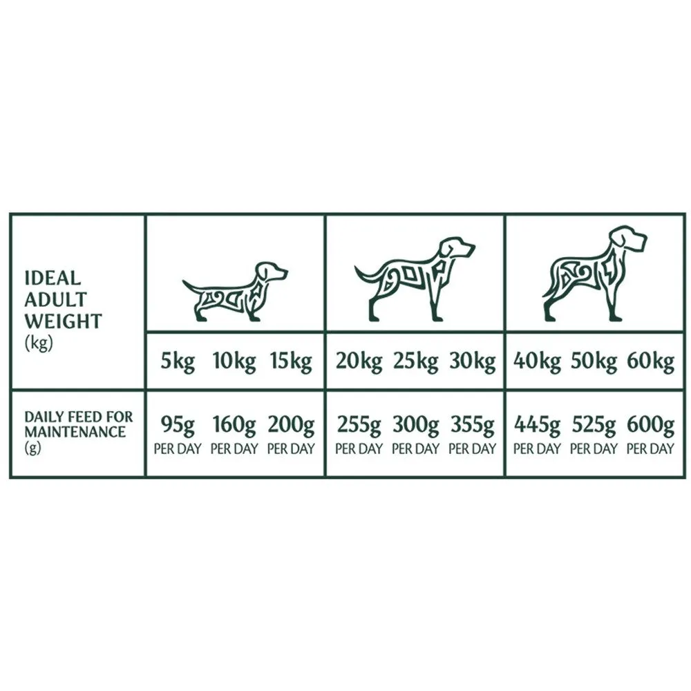 Tribal TLC Grain Free Cold Pressed Salmon Adult Dog Food 12kg