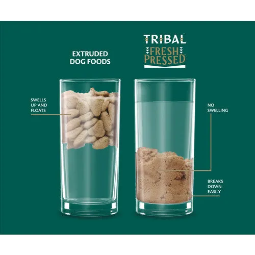 Tribal TLC Grain Free Cold Pressed Salmon Adult Dog Food 12kg