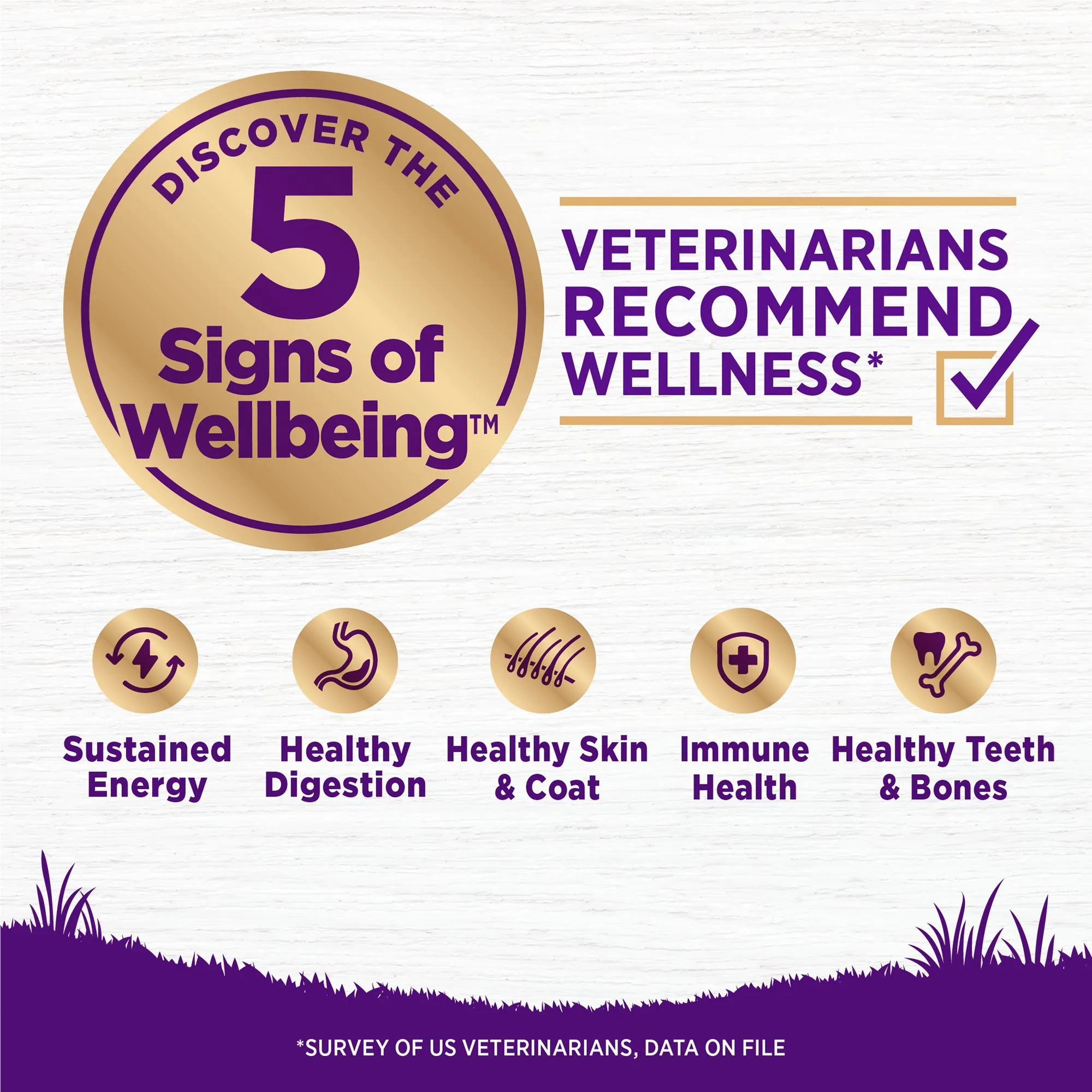 Wellness Complete Health Age Advantage 7  Senior Recipe, Dry Dog Food