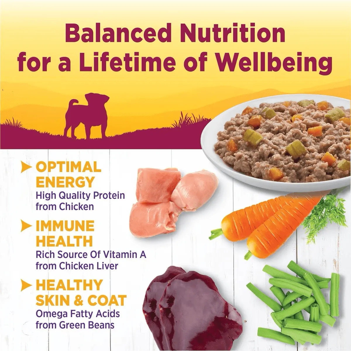 Wellness Petite Entrées Casserole Tender Chicken, Green Beans & Carrots Wet Dog Food