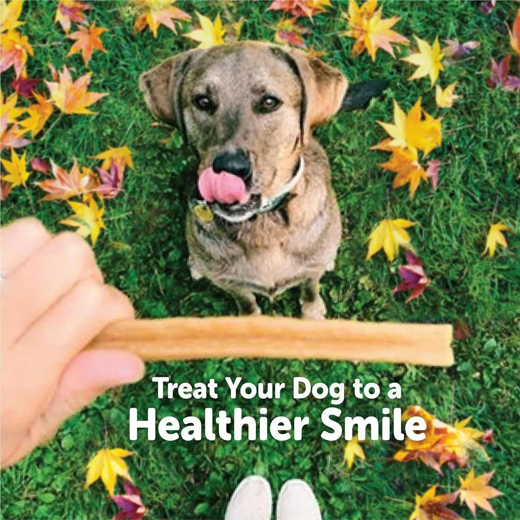 Whimzees by Wellness Fall Value Bag Medium Dental Dog Chews (6.3 oz)